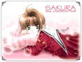 Card captor
