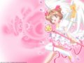 Card captor