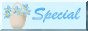 Special