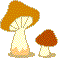 mushroom.gif (1692 bytes)